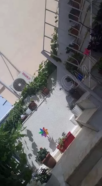 Avşa Trakya Apart genel fotoğrafı 9