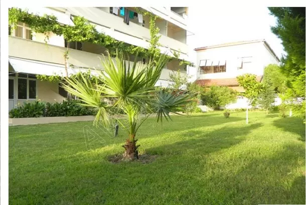 Avşa Uçar Motel genel fotoğrafı 15