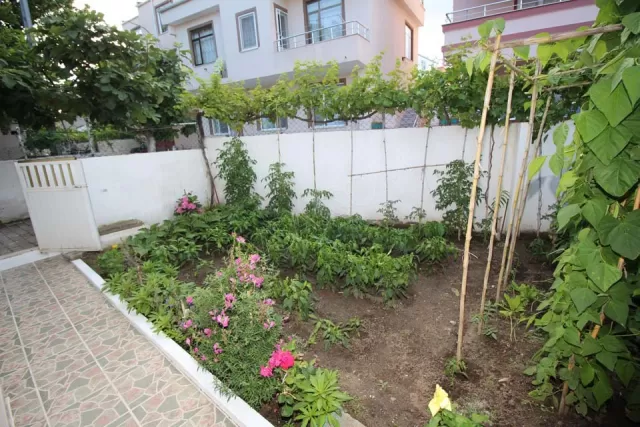 Avşa Uçar Pansiyon Daireler genel fotoğrafı 9