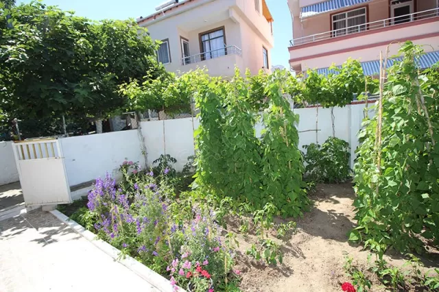 Avşa Uçar Pansiyon Daireler genel fotoğrafı 15