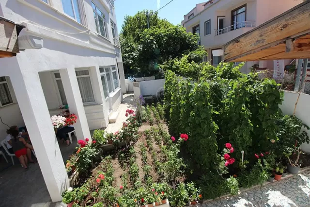 Avşa Uçar Pansiyon Daireler genel fotoğrafı 30