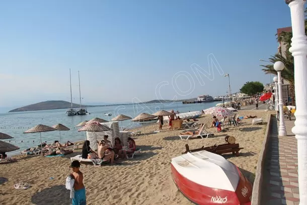 Yaren Daire genel fotoğrafı 7
