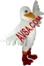 Avşa Martı