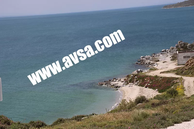 Avşa Tavşanlı Plajı Sahili