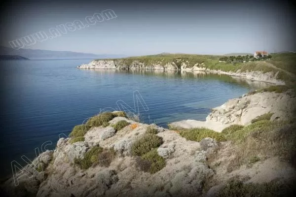 Ekinlik Adası ( Koutali )
